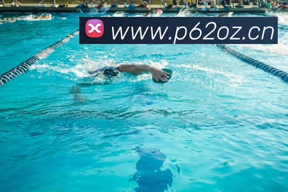 云顶集团官方入口平台生态图